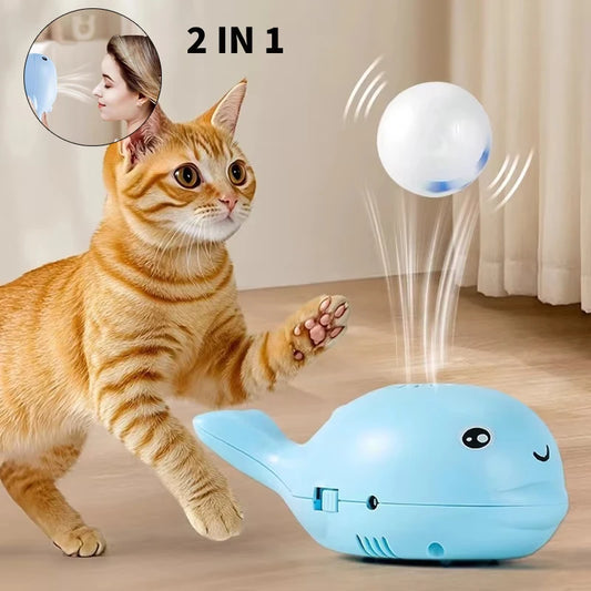 Flitzball